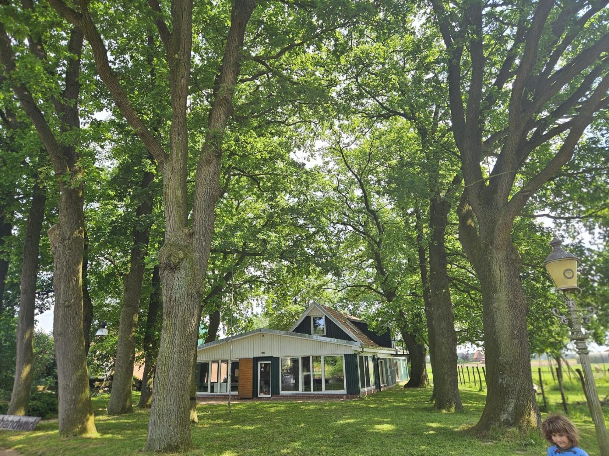 Ferienhaus Banana Lodge Bruchhausen-Vilsen Luaran gambar