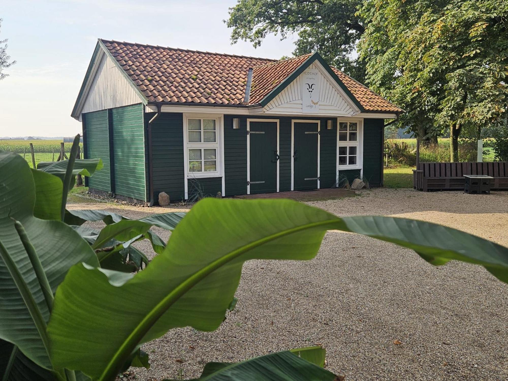 Ferienhaus Banana Lodge Bruchhausen-Vilsen Luaran gambar